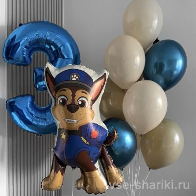 Набор на 3 года с Чейзом и синим фонтаном