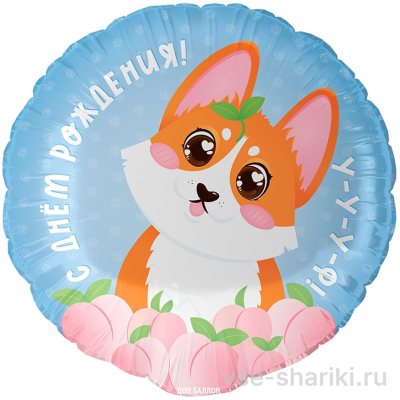 Шар-круг с румяным корги и персиками на голубом фоне