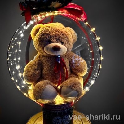 Бабл-бокс с мягкой игрушкой в шаре, обвитом огоньками