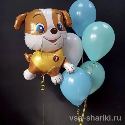 Фонтан с Крепышом из «Щенячьего патруля» и пятью шарами