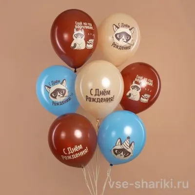 Шар 30 см с ворчливым котом в праздничном колпачке