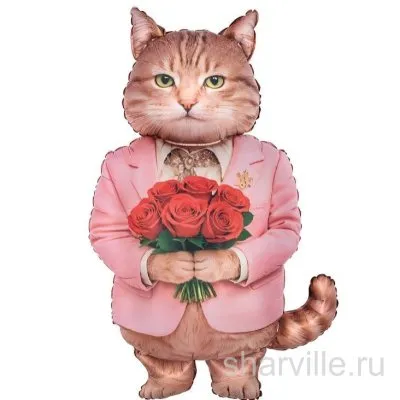 Влюблённый котик из фольги для романтического подарка, 53 на 80 см