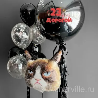 Подарок мужчине к 23 февраля: сердитый кот, фонтан из 7 шаров и шар с надписью